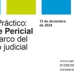 Informe Pericial en el marco del proceso judicial