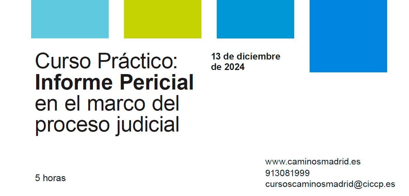 Informe Pericial en el marco del proceso judicial